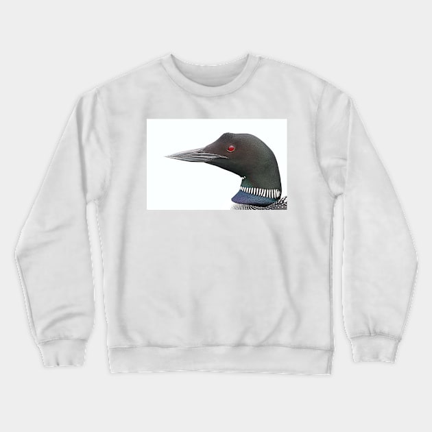 Loon closeup - Common Loon Crewneck Sweatshirt by Jim Cumming